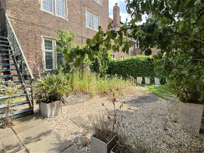Picture 23